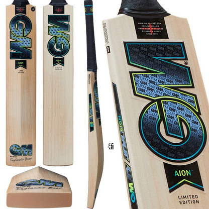 GM AION DXM 808 Cricket Bat