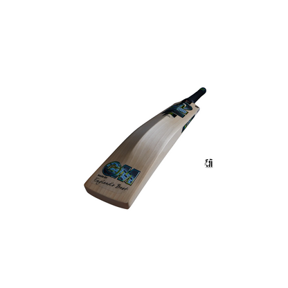 GM AION DXM 808 Cricket Bat