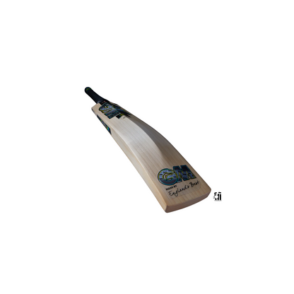 GM AION DXM 808 Cricket Bat