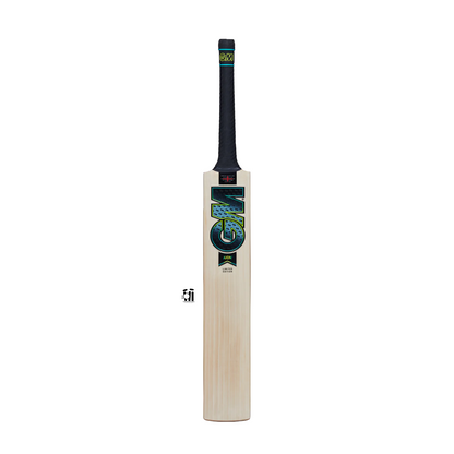 GM AION DXM 808 Cricket Bat