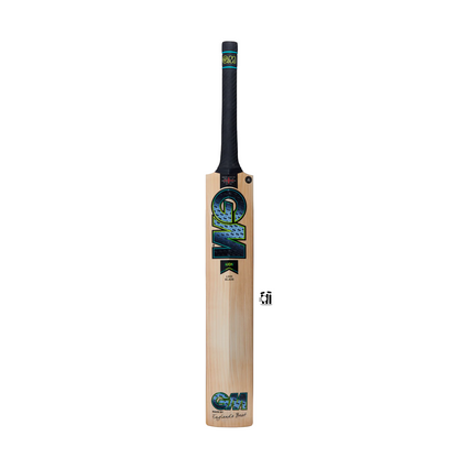 GM AION DXM 808 Cricket Bat