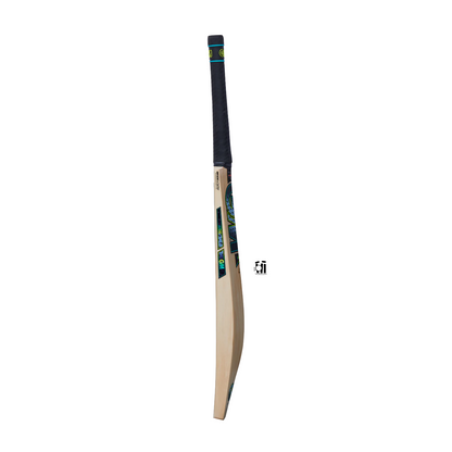 GM AION DXM 808 Cricket Bat