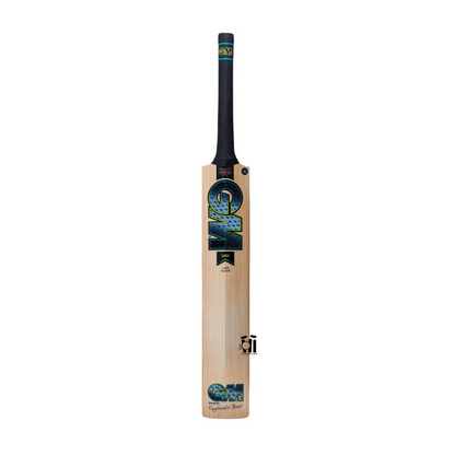 GM Aion DXM 606 Cricket Bat