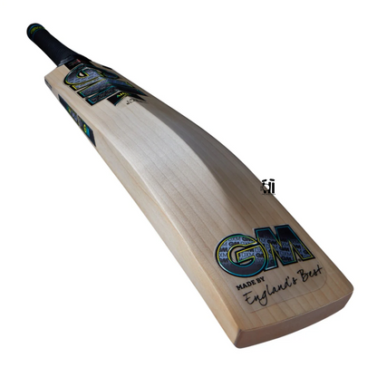 GM Aion DXM 606 Cricket Bat
