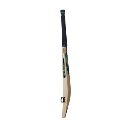 GM Aion DXM 606 Cricket Bat