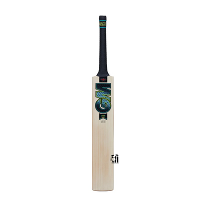 GM Aion DXM 606 Cricket Bat