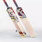 Kookaburra Beast 5.1 Cricket Bat