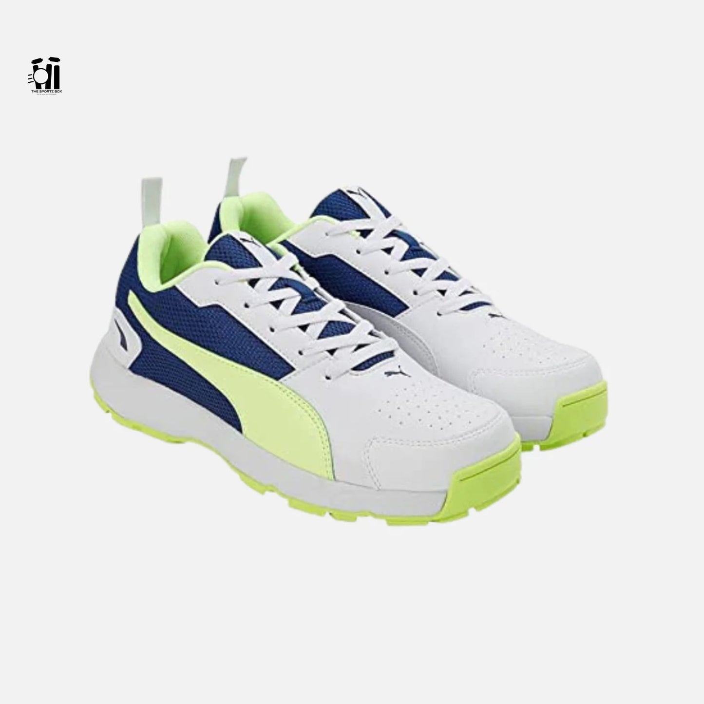 Puma Highrun Cricket Shoes