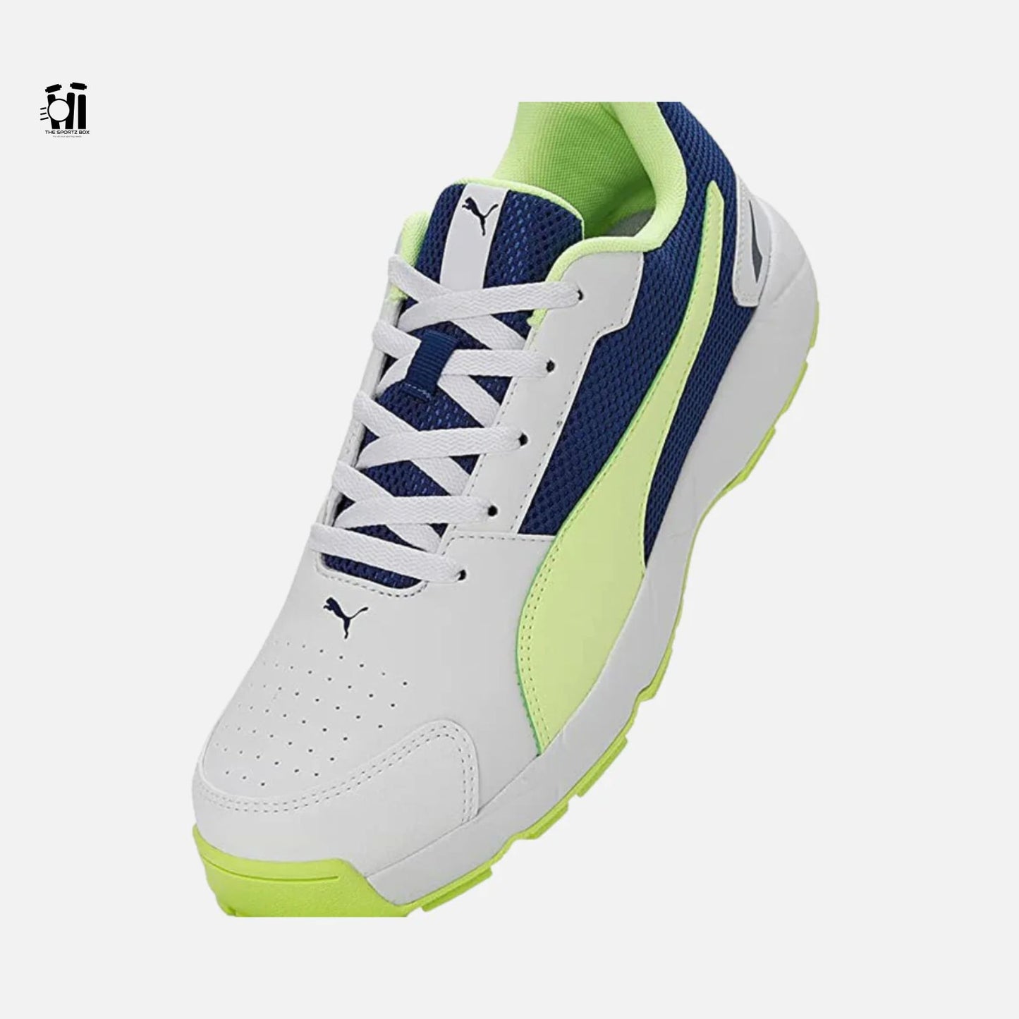 Puma Highrun Cricket Shoes