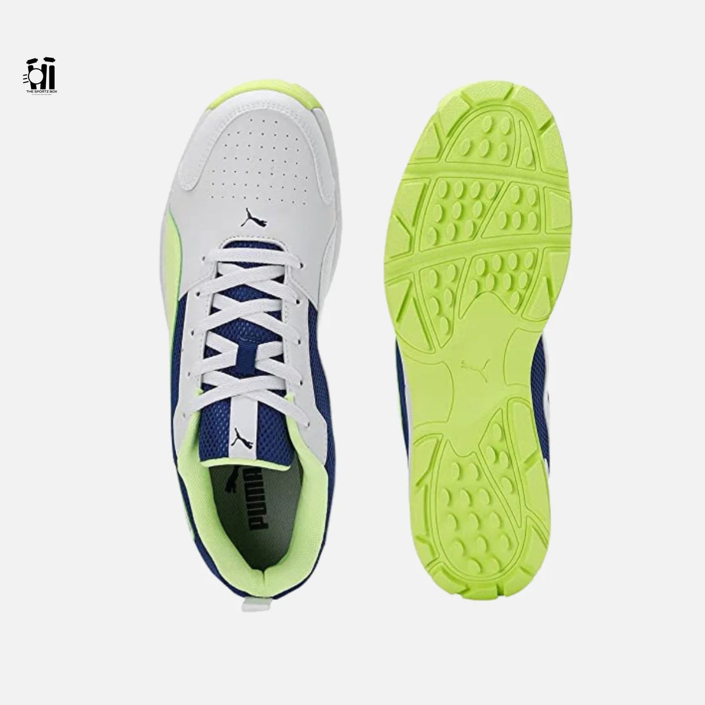 Puma Highrun Cricket Shoes