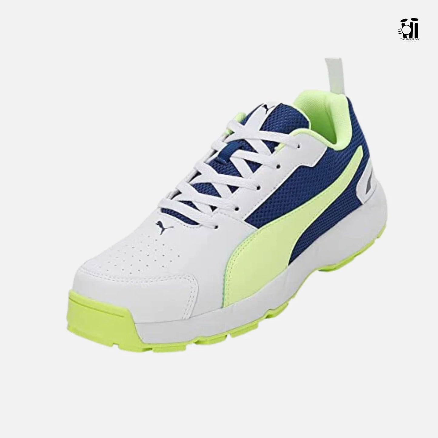 Puma Highrun Cricket Shoes