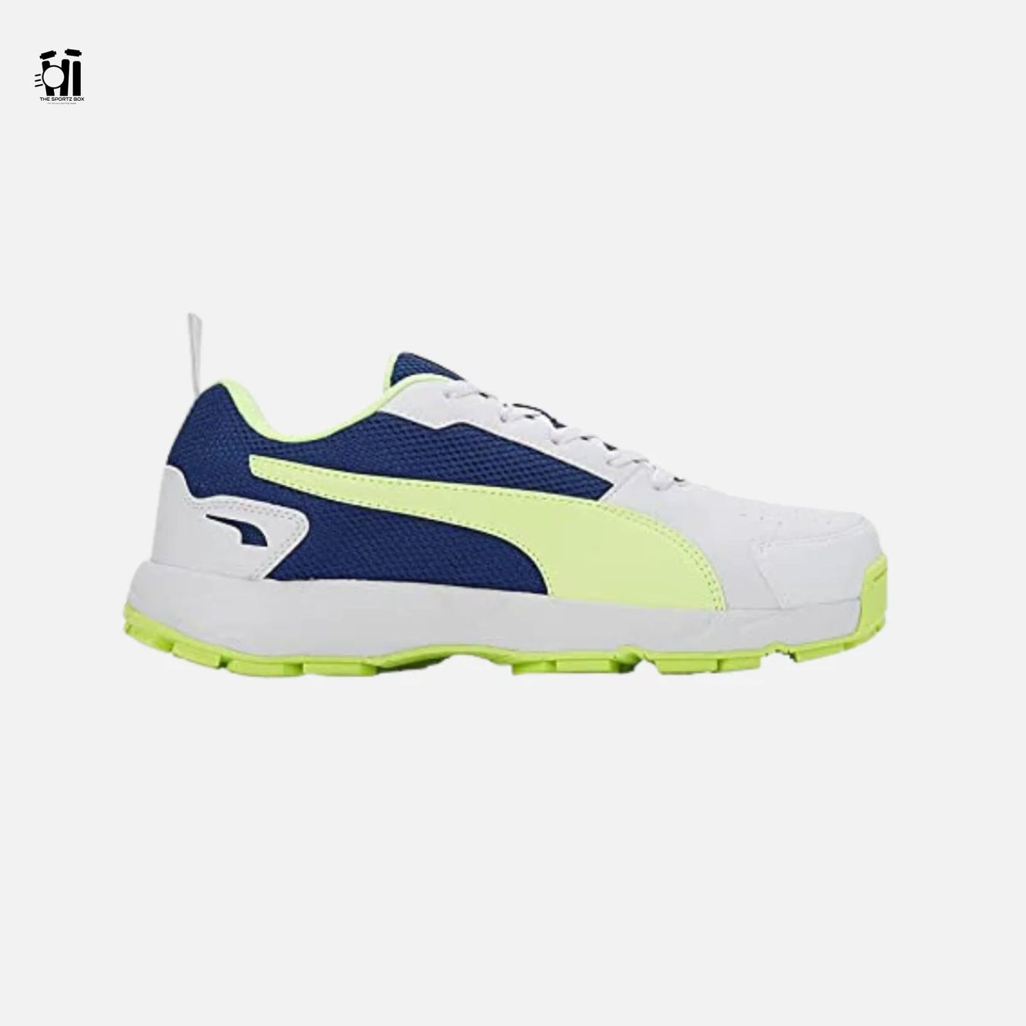 Puma Highrun Cricket Shoes