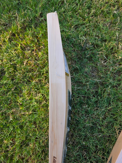 RNS Max 5 English Willow Cricket Bat