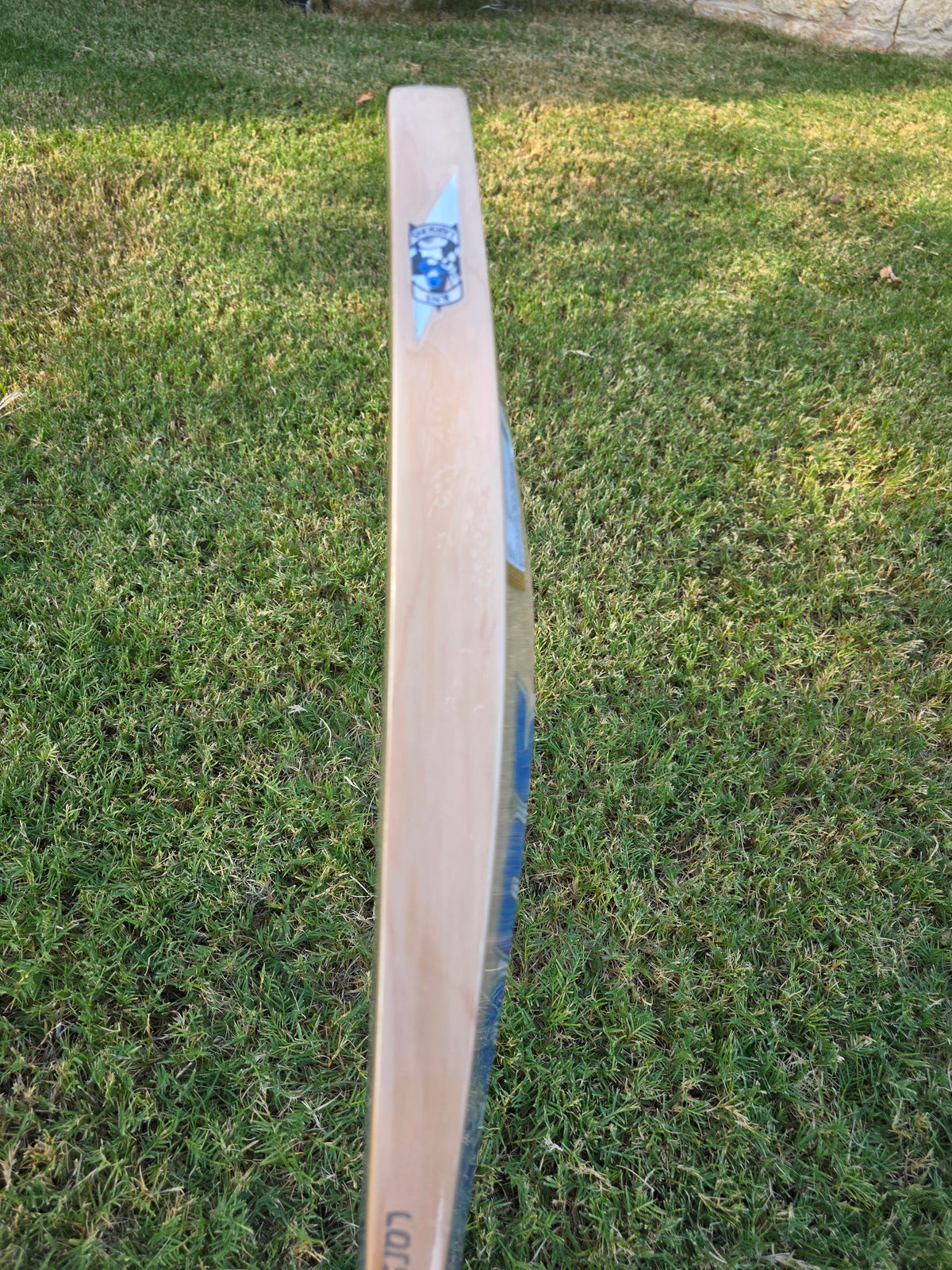 RNS Max 9 English Willow Cricket Bat